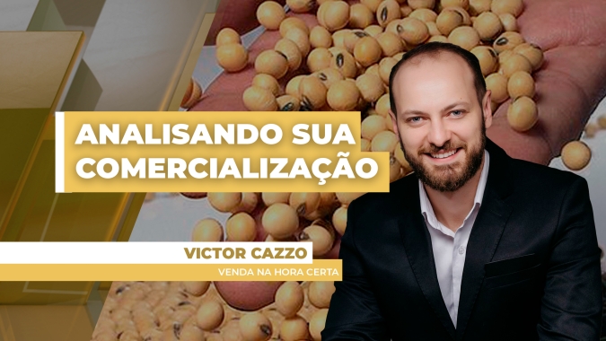 Analisando Sua Comercialização: Preços têm variado forte entre as principais regiões produtoras e estratégias também