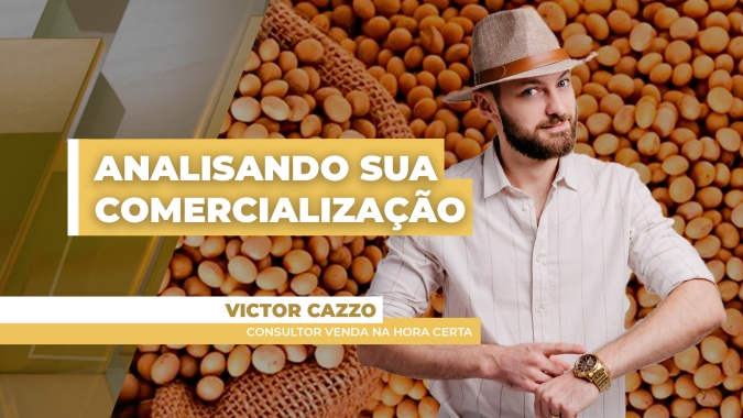 Analisando Sua Comercialização: Preços têm variado forte entre as principais regiões produtoras e estratégias também