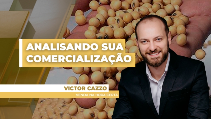 Analisando Sua Comercialização: Preços têm variado forte entre as principais regiões produtoras e estratégias também