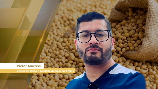 Prêmios nos portos brasileiro atingem maiores patamares da temporada e comercialização 24/25 deve ser melhor do que a 23/24