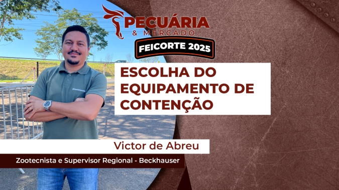 Um bom equipamento de contenção agiliza o manejo dos animais e impacta na produtividade do rebanho