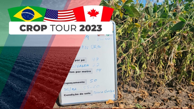Crop Tour Grupo Labhoro e Notícias Agrícolas: Illinois tem áreas de lavouras de soja e milho bastante sofridas por conta da seca