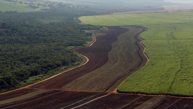 Usinas da Copersucar preservaram área ambiental do tamanho da cidade do Rio de Janeiro