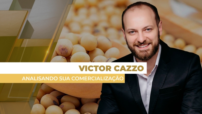 Analisando Sua Comercialização: Preços têm variado forte entre as principais regiões produtoras e estratégias também