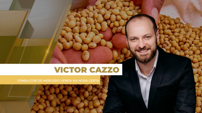 Analisando Sua Comercialização