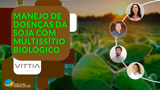 O uso de multissítio biológico pode facilitar estratégia de antecipar proteção das lavouras contra ferrugem asiática e doenças foliares