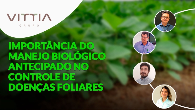 Vantagens do manejo biológico antecipado para o controle de doenças foliares na soja
