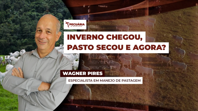Os cuidados com a pastagem e os animais durante o período seco