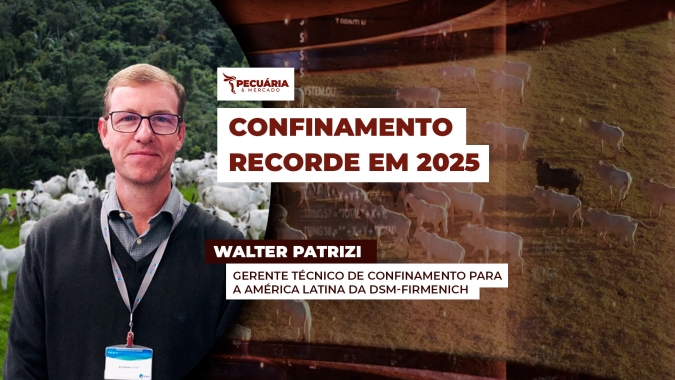 Censo da dsm-firmenich aponta para confinamento de 8,5 milhões de cabeças , volume 7% maior que em 2024