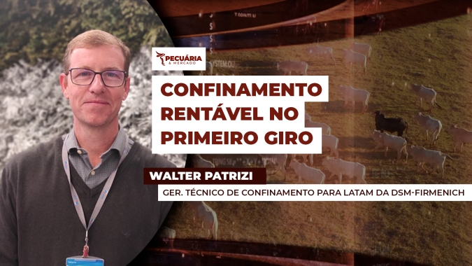 Pesquisa aponta para rentabilidade de 9% no período em confinamento de primeiro giro