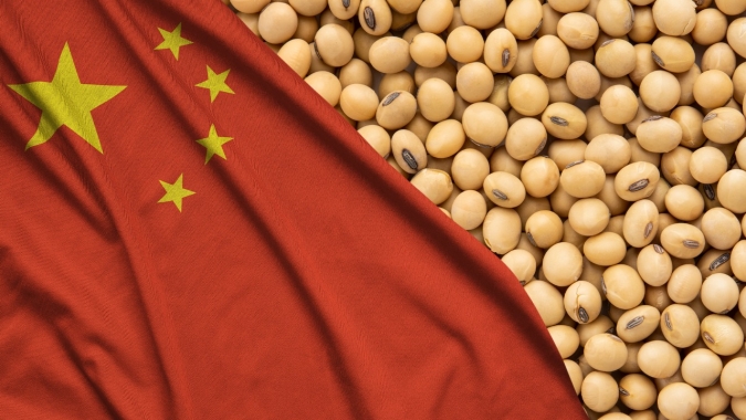 Soja: Demanda maior da China é limitador de baixa e faz BR chegar à nova safra com preços menos pressionados