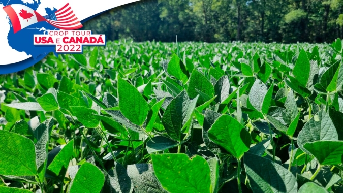 Milho e Soja: Crop Tour EUA-Canadá conclui faixa leste do Corn Belt e ruma a oeste, onde safra sofreu mais