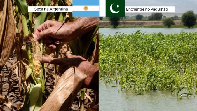 Mundo sofre com oferta restrita de alimentos, fibras e energia ao caminhar para terceiro ano de La Niña