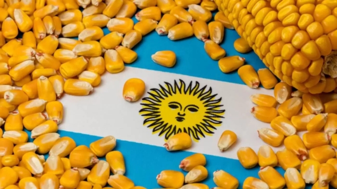 Argentina: Cadeia de produção do milho faz duras críticas ao novo 'dólar agro' que chega ao cereal nesta rodada
