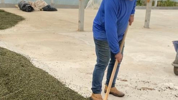 Espírito Santo se consolida no topo da produção nacional de pimenta-do-reino