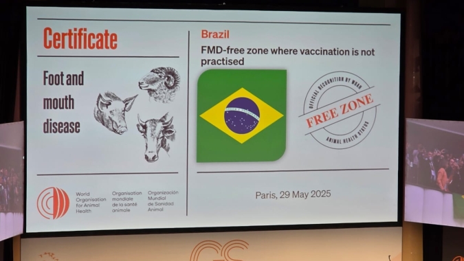 Organização Mundial de Saúde Animal reconhece o Brasil como país livre de febre aftosa sem vacinação
