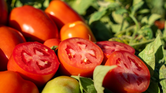 Tomate/Cepea: Maior oferta pressiona cotações no atacado