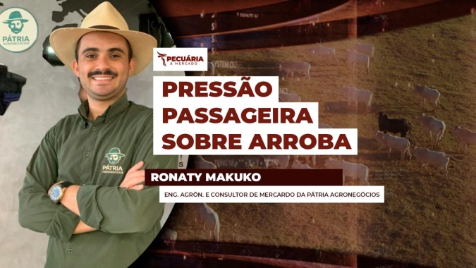 Frigoríficos abrem compras a termo e sinalizam preocupação com menor oferta para os próximos meses