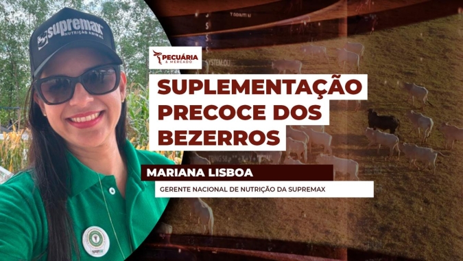 Suplementação dos bezerros acelera crescimento, melhora eficiência alimentar e antecipa peso de abate