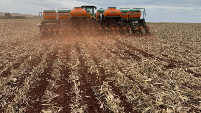 Plantio da soja acelera para 3,9% após chuvas liberarem avanço em áreas de MT