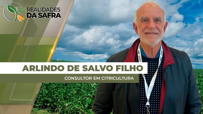 Florada da laranja começou apenas nas regiões que receberam chuvas
