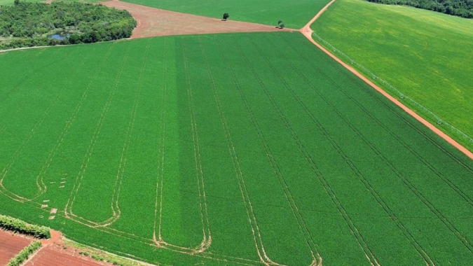 Novo regulador de crescimento aposta no equilíbrio da soja para elevar produtividade no campo