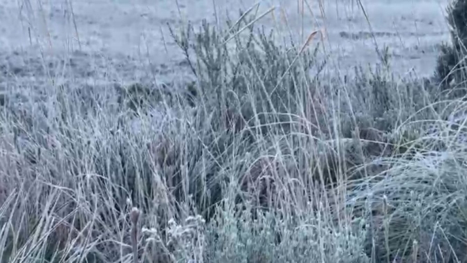 Massa de ar polar mantém risco de geada no Sul e provoca chuva congelada nas áreas mais altas da Serra Catarinense
