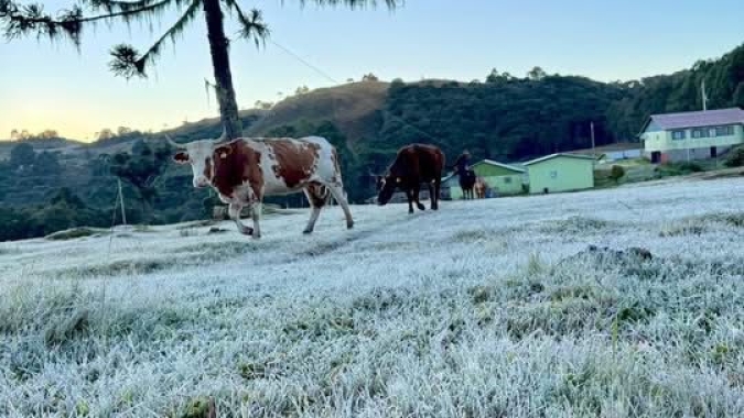 Massa de ar polar mantém frio intenso no Sul e chuva retorna entre sexta e sábado