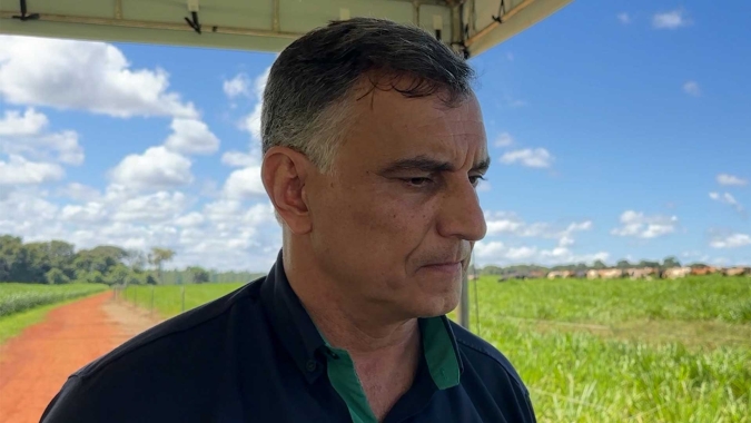 Presença do boi em área de ILP pode garantir produtividade de 15% a 20% maior em relação a um sistema tradicional