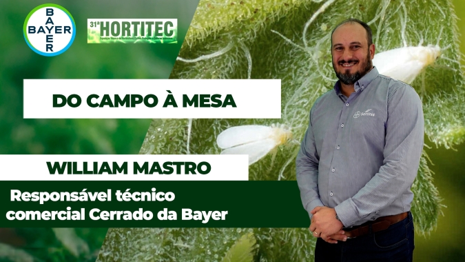 Bayer apresenta estratégias para proteger o tomateiro do avanço da mosca-branca