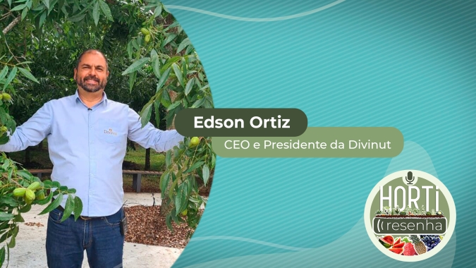 HORTI RESENHA #13 - Brasil é o 4º maior produtor de noz pecan no mundo