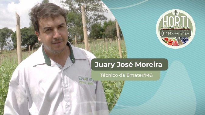 HORTI RESENHA #40 - Ervilha Torta é alternativa rentável para agricultura familiar em Minas