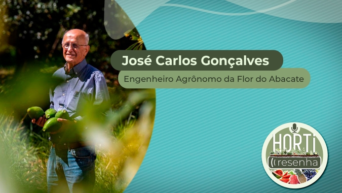HORTI RESENHA #28 - Cultivo de abacate em consórcio com café e aposta no azeite de abacate são exemplos da constante busca por inovação de José Carlos Gonçalves
