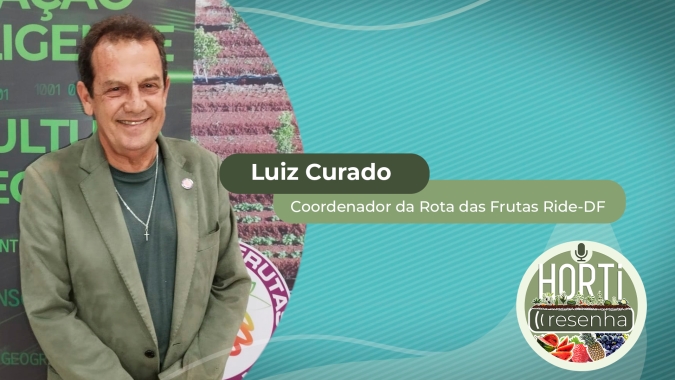 HORTI RESENHA #17 – DF planeja virar polo produtor de berries e mira mercados interno e exportações