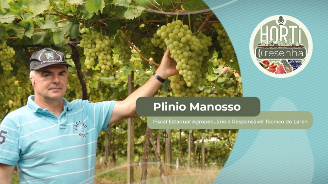 HORTI RESENHA #45 - Trabalho no Rio Grande do Sul analisa uvas para garantir qualidade dos vinhos gaúchos