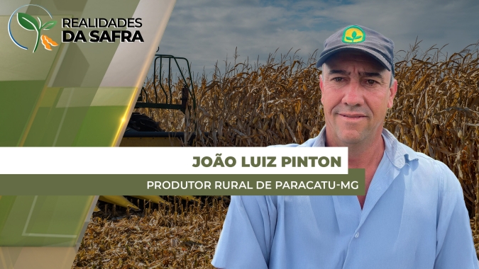 Produtor fecha colheita do milho em Paracatu/MG com resultados abaixo do esperado