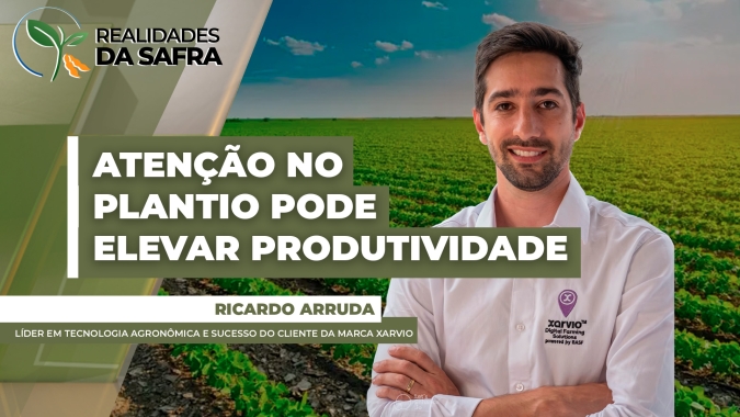 Atenção no momento de plantio pode elevar produtividade de 2 a 3%