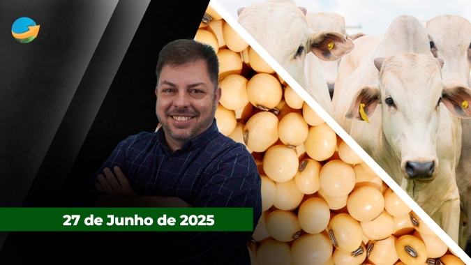 Cotações do boi gordo se ajustam para o início do mês sem tendência definida ; Soja em alta nesta sexta-feira não recupera queda semanal