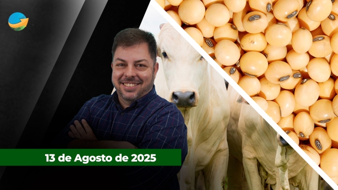 Soja sobe pelo terceiro pregão consecutivo na bolsa de Chicago; boi gordo segue firme, mas com poucas alterações na arroba