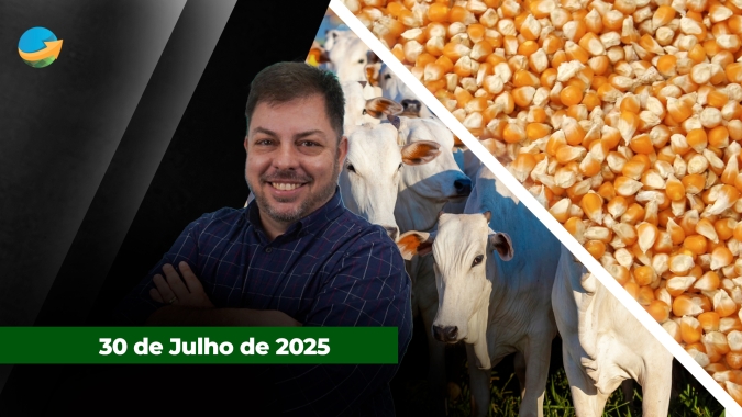 Oferta de animais diminui em SP com pecuarista mais retraído nas vendas; Soja em Chicago recua mantendo cotações abaixo dos US$10/bushel