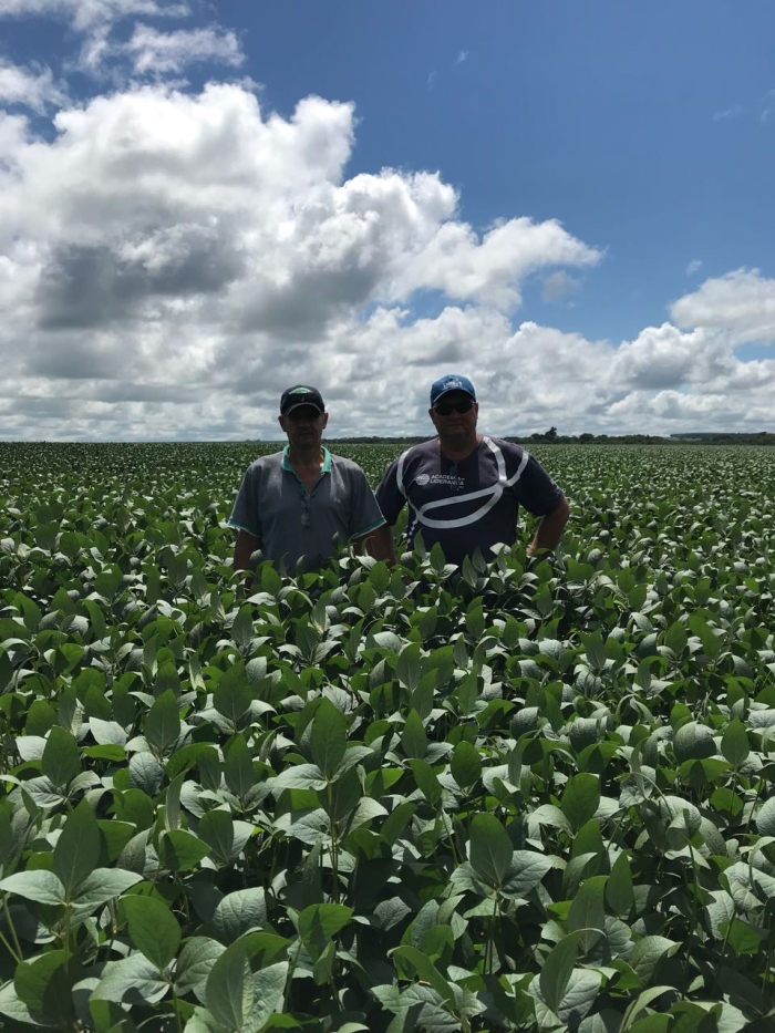 Monitoramento das lavouras de soja em Diamantino (MT). Envio de Altemar Kroling