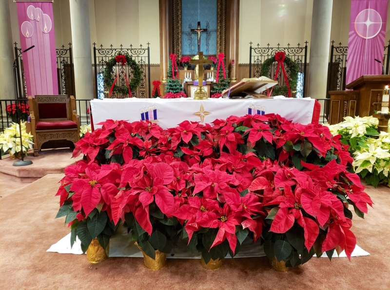 182f64ca-3586-4c0c-a2ed-2ef14583f1a0_1408x1050