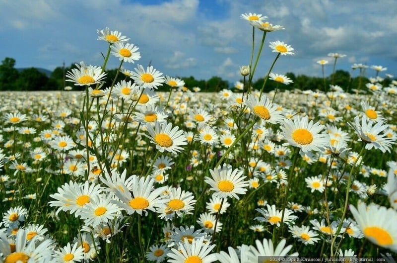 62261227cfe1a48fa95e69a9465f4ea9