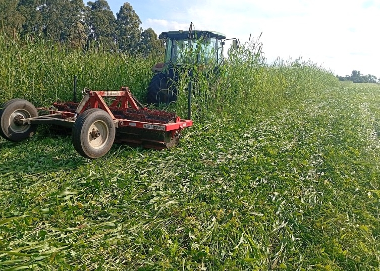Agricultura de Inverno