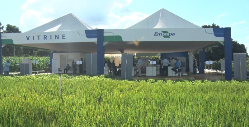 Agrobrasília Embrapa