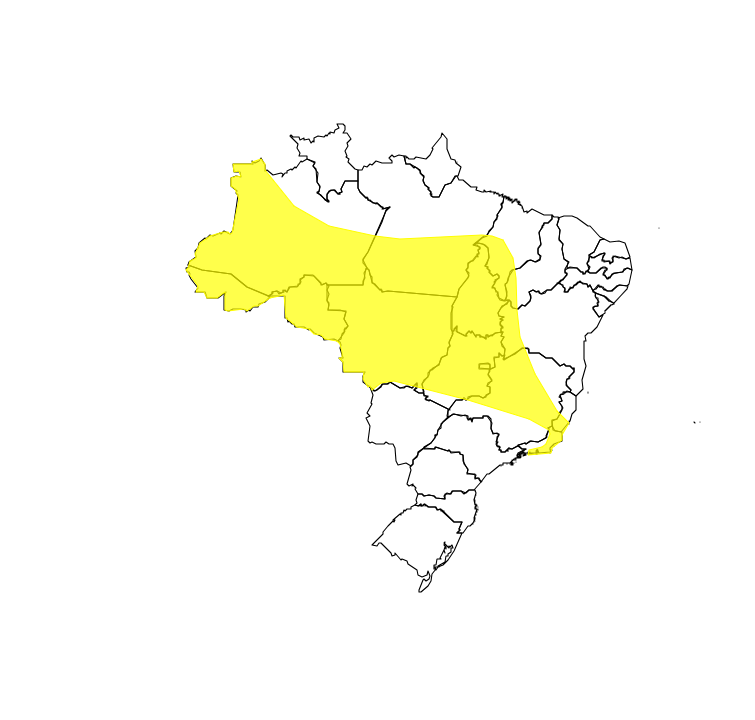 Alerta_Amarelo09122025