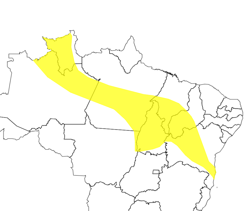 AlertaAmarelo_03122025