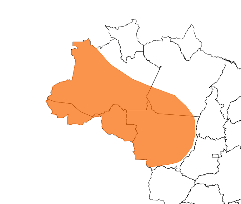 AlertaLaranja2_03122025.