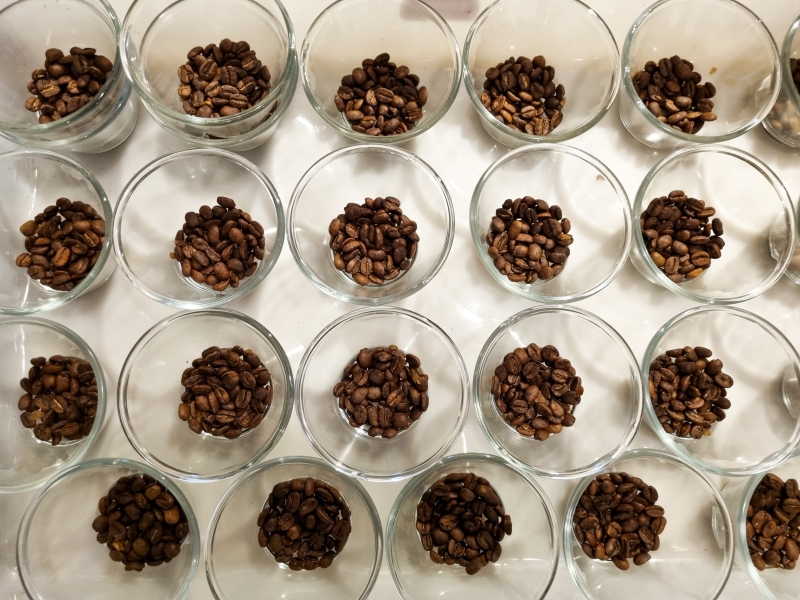 Amostras café