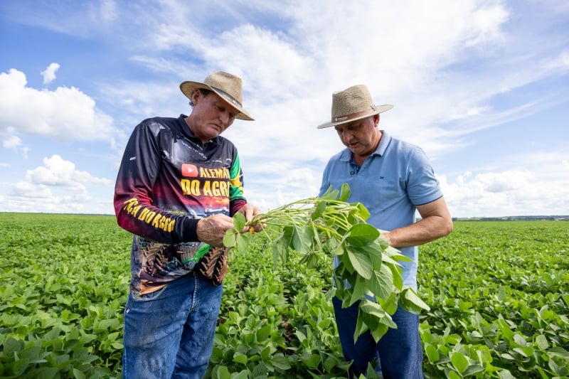 Aprosoja MT - Clima e Mercado